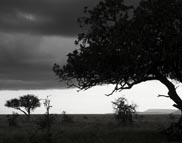 Tanzania