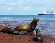 Galapagos
