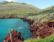 Galapagos