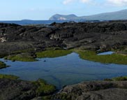 Galapagos