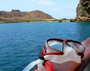 Galapagos