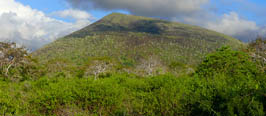 Galapagos