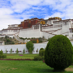 Tibet Portfolio