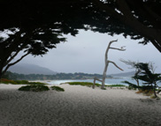 California